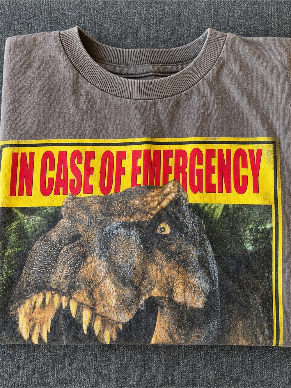 Jurassic Park Graphic Tee Boys XXL 16 Dinosaur Movie Shirt